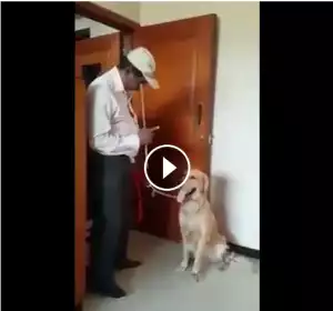 [Funny Video] Dog Solve mathematics with his teacher